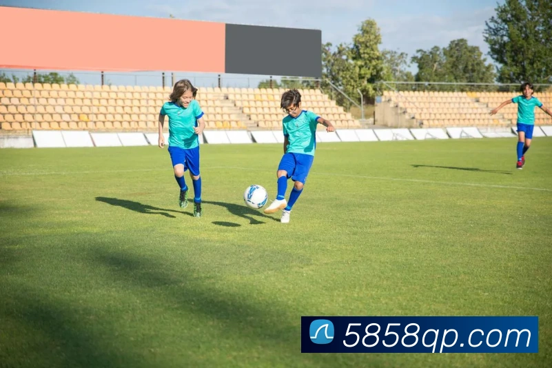 平台展示图